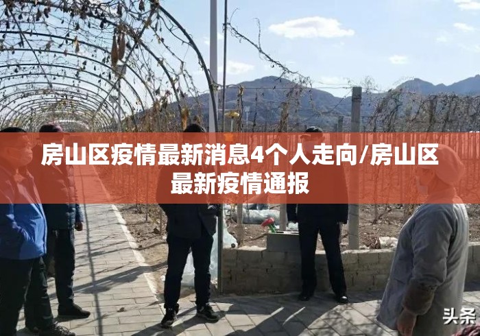 实操教程“财神十三张万能开挂软件[分享装挂详细步骤]