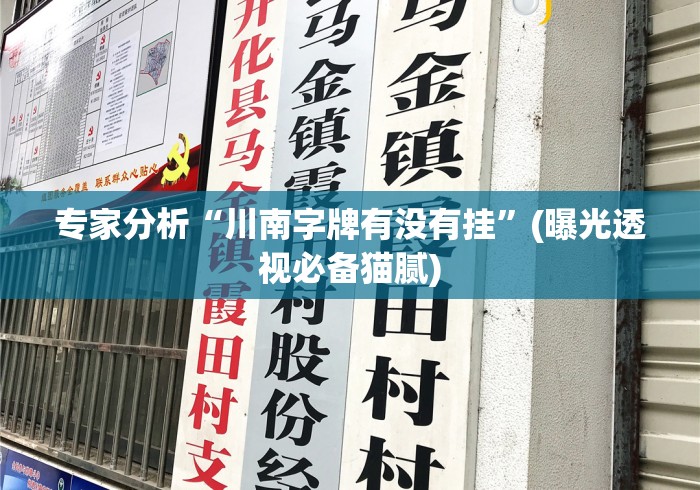 专家分析“川南字牌有没有挂”(曝光透视必备猫腻)