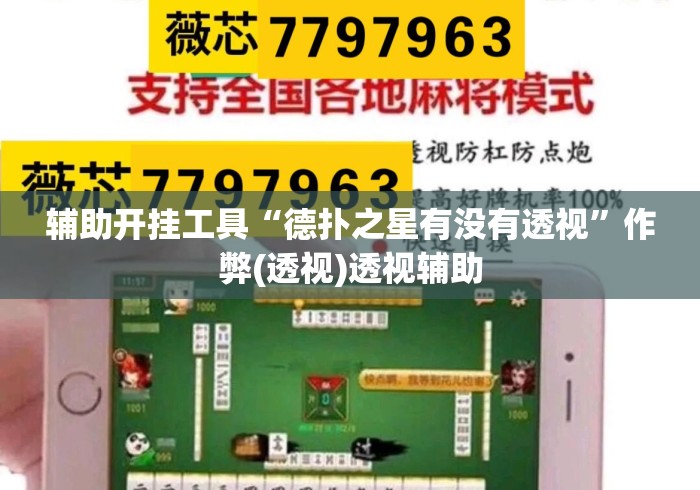 辅助开挂工具“德扑之星有没有透视”作弊(透视)透视辅助
