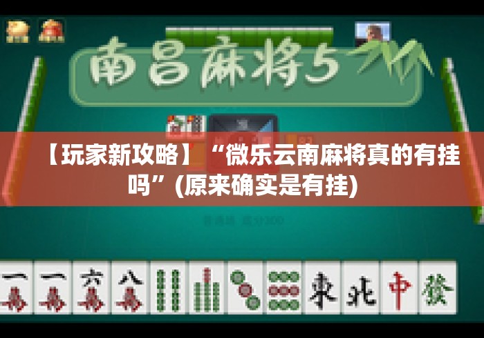 【玩家新攻略】“微乐云南麻将真的有挂吗”(原来确实是有挂)