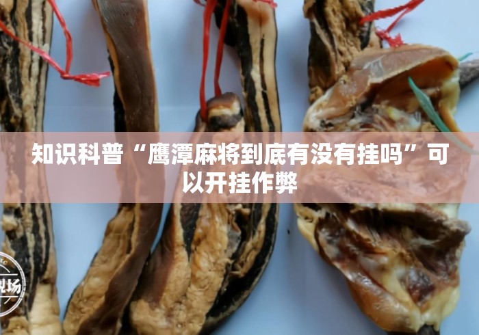 知识科普“鹰潭麻将到底有没有挂吗”可以开挂作弊