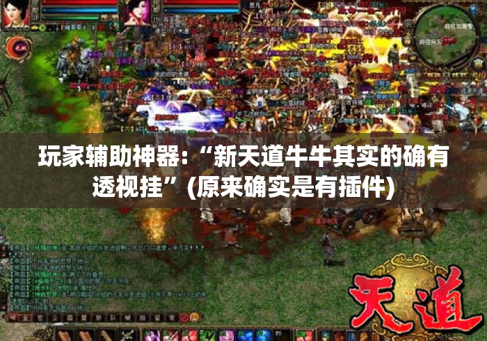 玩家辅助神器:“新天道牛牛其实的确有透视挂	”(原来确实是有插件)