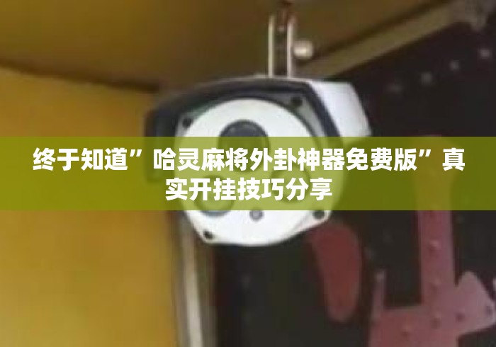 终于知道”哈灵麻将外卦神器免费版	”真实开挂技巧分享