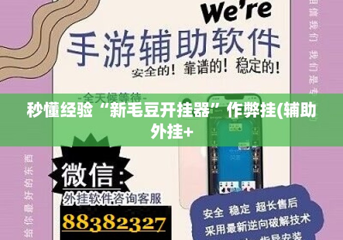 秒懂经验“新毛豆开挂器”作弊挂(辅助外挂+