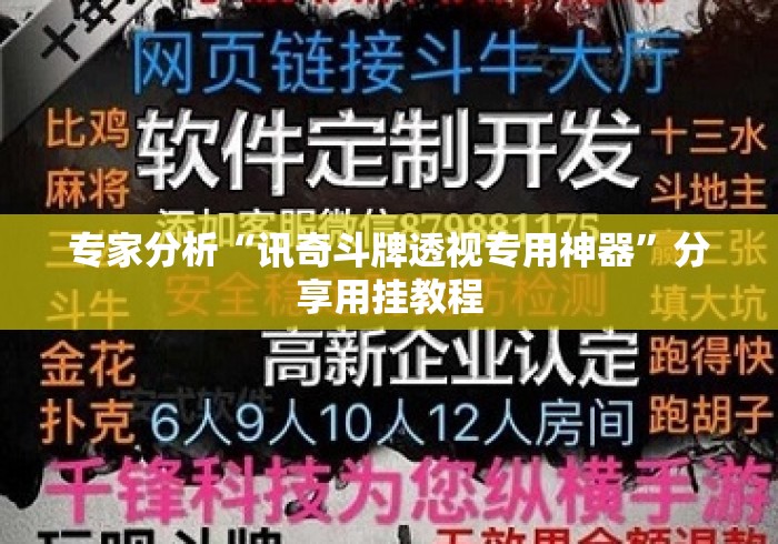 专家分析“讯奇斗牌透视专用神器”分享用挂教程