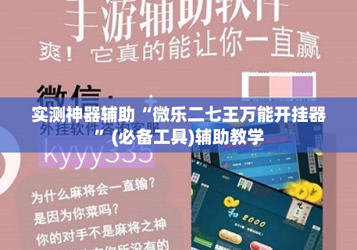 实测神器辅助“微乐二七王万能开挂器”(必备工具)辅助教学