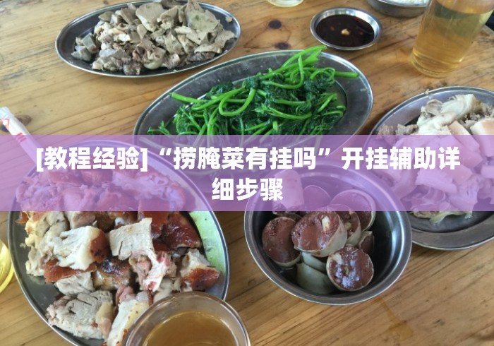 [教程经验]“捞腌菜有挂吗	”开挂辅助详细步骤