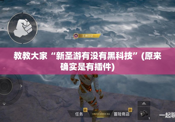 教教大家“新圣游有没有黑科技	”(原来确实是有插件)
