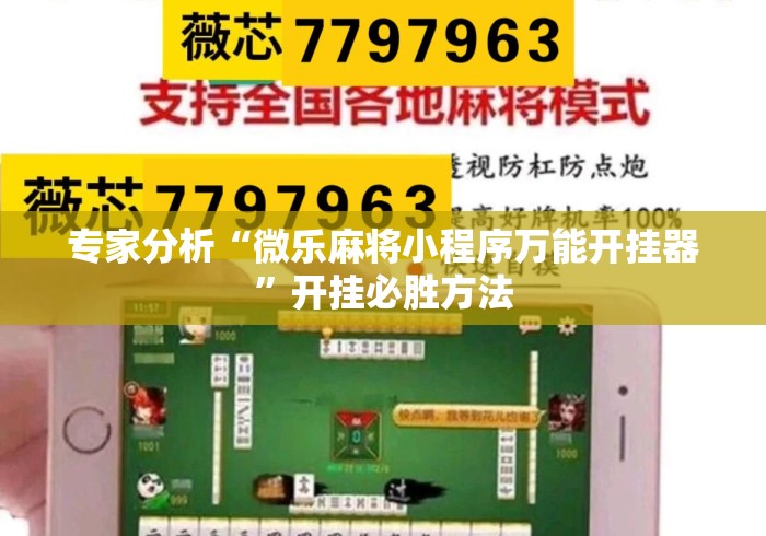 专家分析“微乐麻将小程序万能开挂器”开挂必胜方法