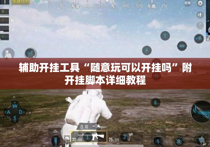 辅助开挂工具“随意玩可以开挂吗	”附开挂脚本详细教程