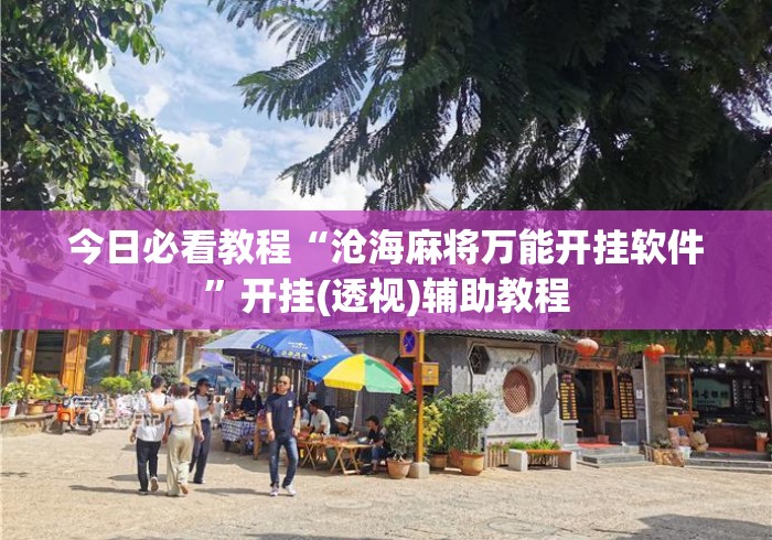 今日必看教程“沧海麻将万能开挂软件”开挂(透视)辅助教程