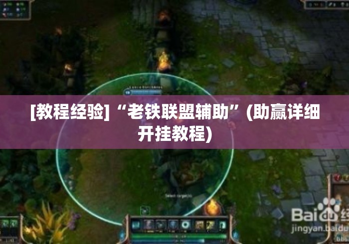 [教程经验]“老铁联盟辅助”(助赢详细开挂教程)