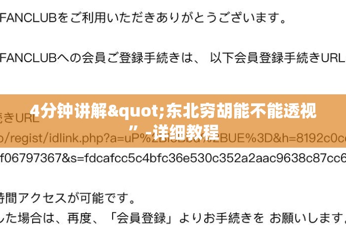 4分钟讲解"东北穷胡能不能透视”-详细教程