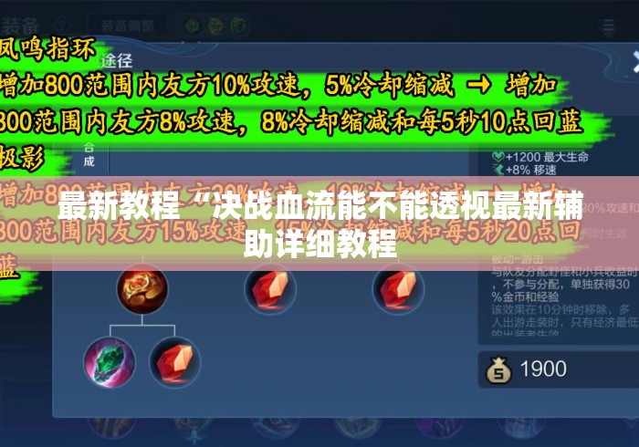 最新教程“决战血流能不能透视最新辅助详细教程