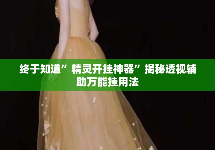 终于知道”精灵开挂神器	”揭秘透视辅助万能挂用法