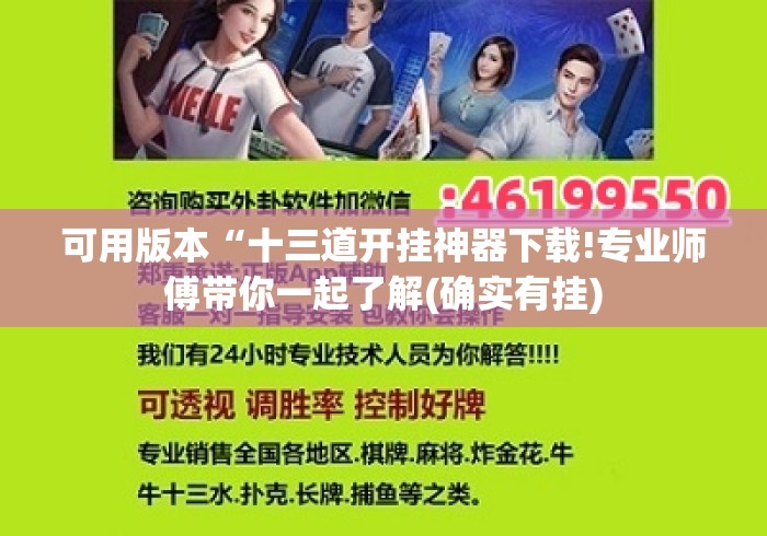 可用版本“十三道开挂神器下载!专业师傅带你一起了解(确实有挂)