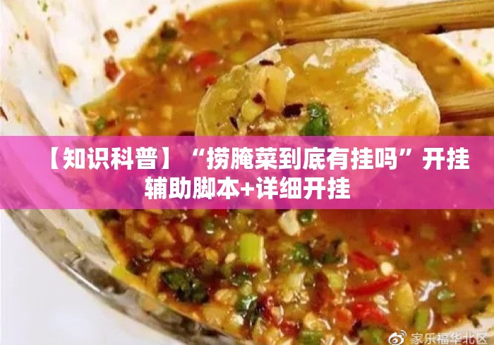 【知识科普】“捞腌菜到底有挂吗”开挂辅助脚本+详细开挂