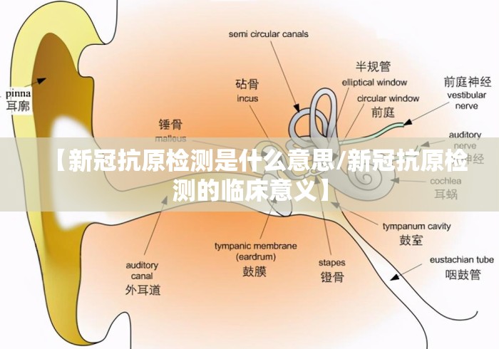 全网解答|“人海大厅真的有挂吗”开挂神器{透视辅助}全揭秘