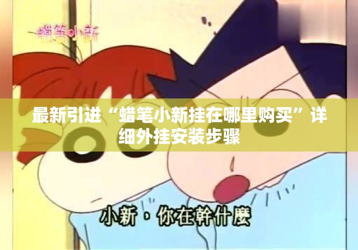 最新引进“蜡笔小新挂在哪里购买	”详细外挂安装步骤