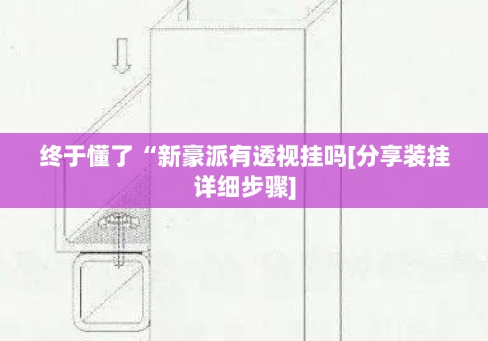 终于懂了“新豪派有透视挂吗[分享装挂详细步骤]