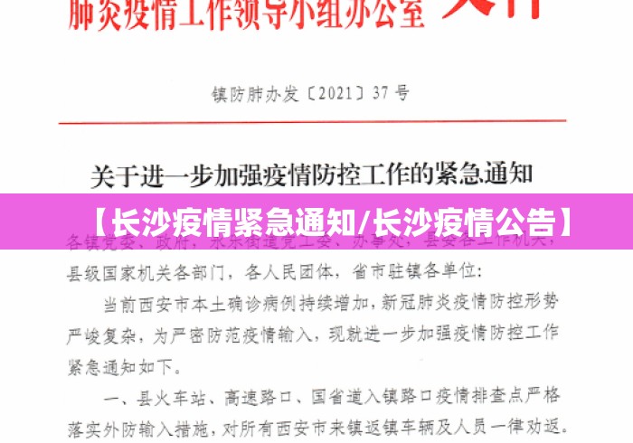 一键必胜“微乐四川麻将外挂神器免费安装”(透视)其实确实有挂