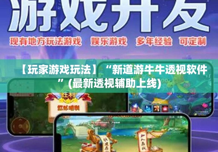 【玩家游戏玩法】“新道游牛牛透视软件	”(最新透视辅助上线)