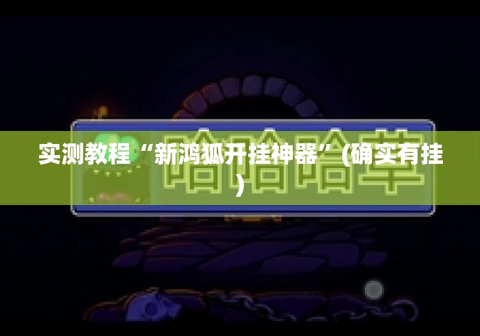 实测教程“新鸿狐开挂神器”(确实有挂)