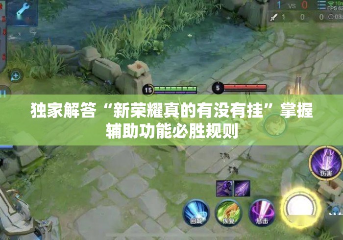 独家解答“新荣耀真的有没有挂”掌握辅助功能必胜规则