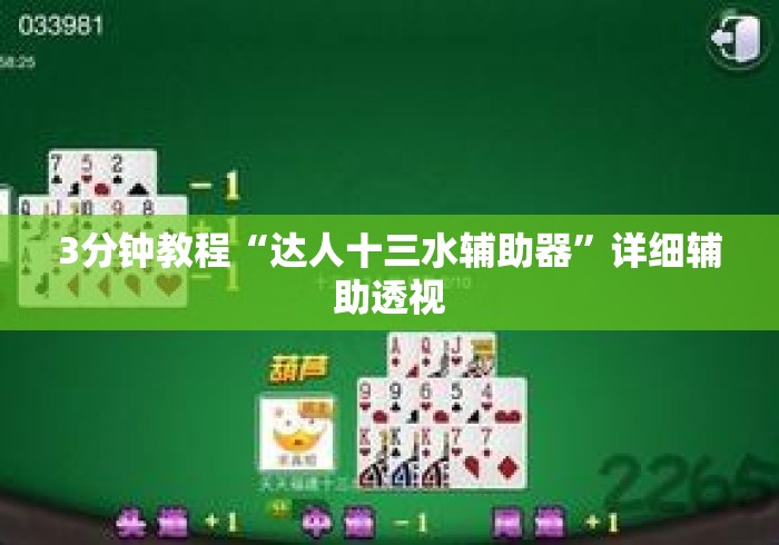 3分钟教程“达人十三水辅助器”详细辅助透视