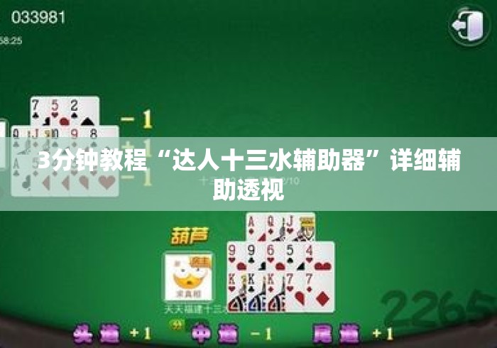 3分钟教程“达人十三水辅助器”详细辅助透视