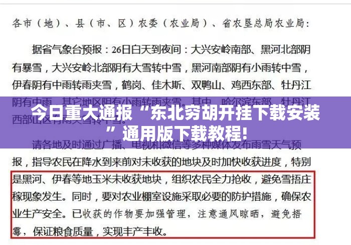 今日重大通报“东北穷胡开挂下载安装”通用版下载教程!