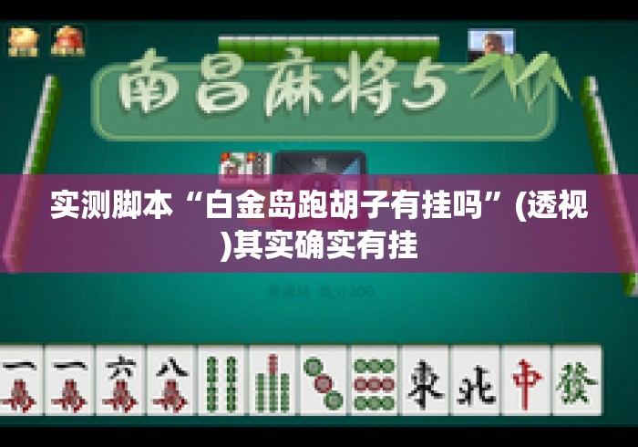 实测脚本“白金岛跑胡子有挂吗”(透视)其实确实有挂