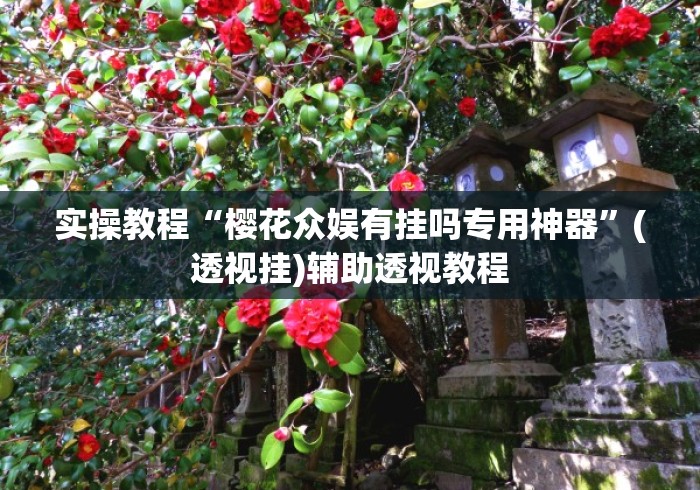实操教程“樱花众娱有挂吗专用神器”(透视挂)辅助透视教程