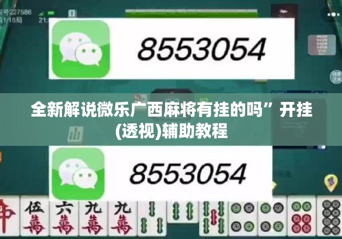 全新解说微乐广西麻将有挂的吗”开挂(透视)辅助教程