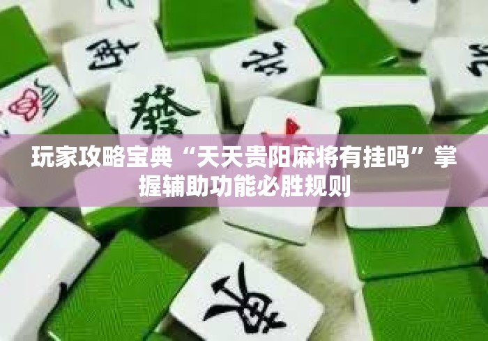 玩家攻略宝典“天天贵阳麻将有挂吗”掌握辅助功能必胜规则