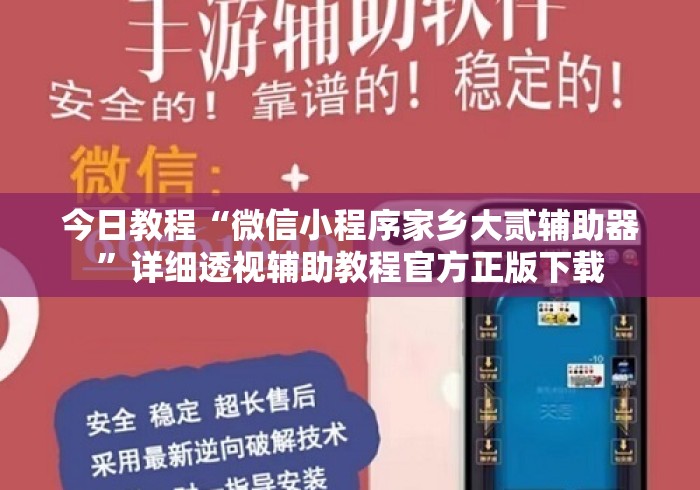 今日教程“微信小程序家乡大贰辅助器”详细透视辅助教程官方正版下载