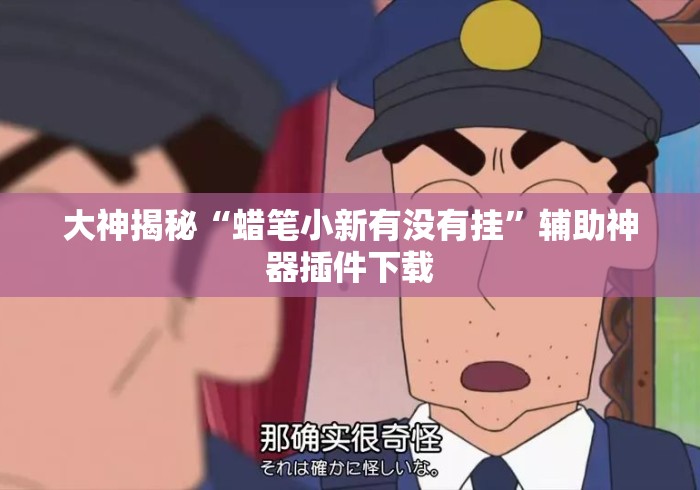 大神揭秘“蜡笔小新有没有挂	”辅助神器插件下载