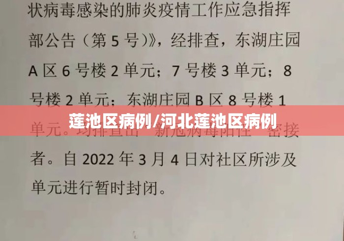 【第一消息】“17麻将真的有挂吗[玩家必赢神器]