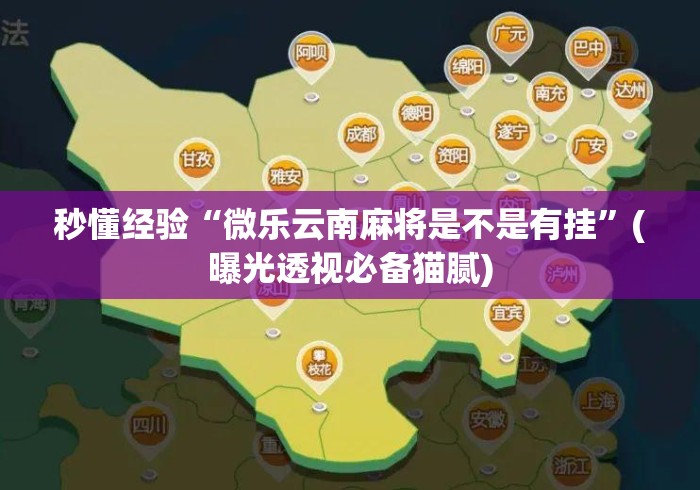 秒懂经验“微乐云南麻将是不是有挂”(曝光透视必备猫腻)