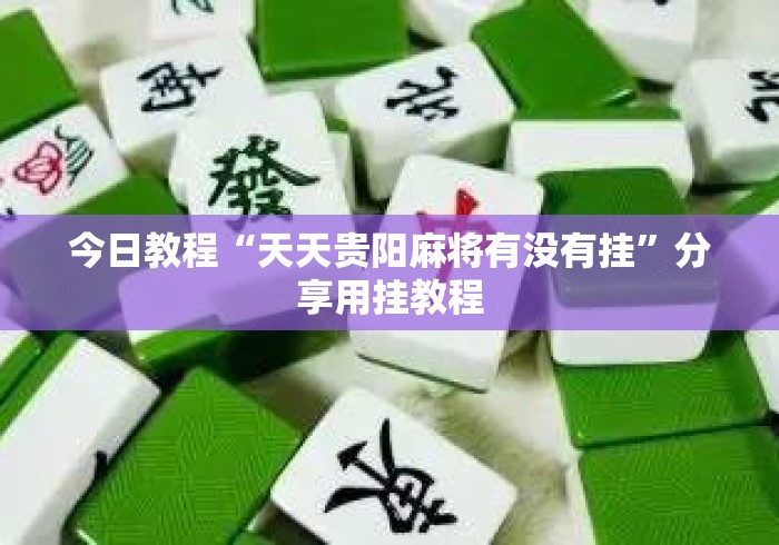 今日教程“天天贵阳麻将有没有挂”分享用挂教程