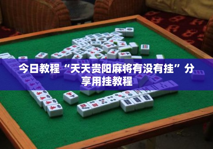 今日教程“天天贵阳麻将有没有挂	”分享用挂教程