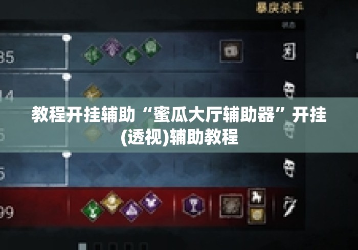 教程开挂辅助“蜜瓜大厅辅助器”开挂(透视)辅助教程