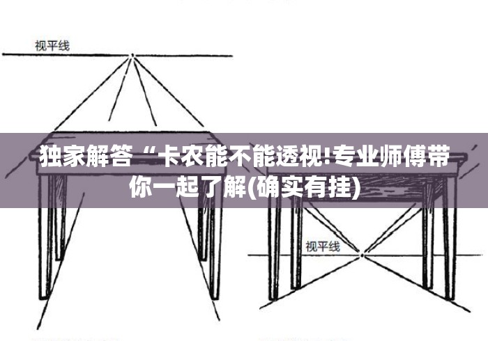 独家解答“卡农能不能透视!专业师傅带你一起了解(确实有挂) 独家解答“卡农能不能透视!专业师傅带你一起了解(确实有挂)