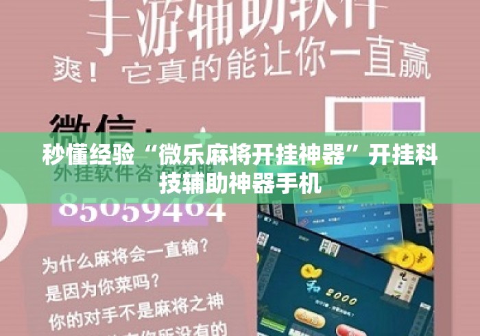 秒懂经验“微乐麻将开挂神器	”开挂科技辅助神器手机