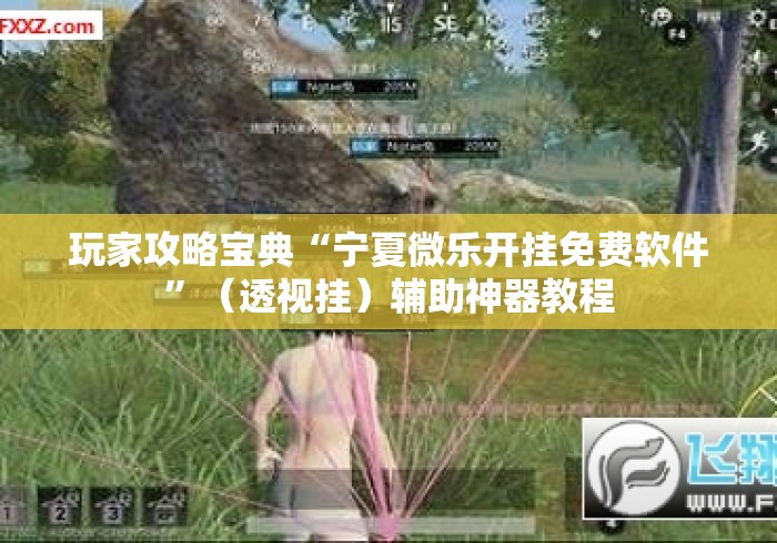 玩家攻略宝典“宁夏微乐开挂免费软件”（透视挂）辅助神器教程