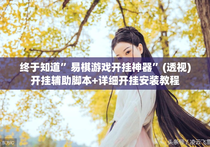 终于知道”易棋游戏开挂神器”(透视)开挂辅助脚本+详细开挂安装教程