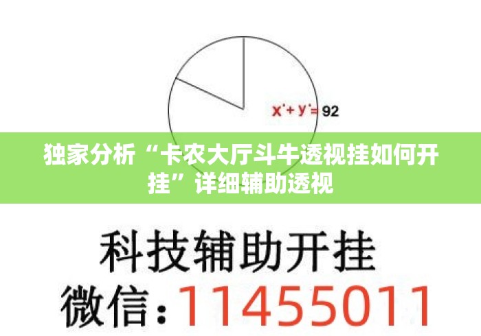 独家分析“卡农大厅斗牛透视挂如何开挂”详细辅助透视