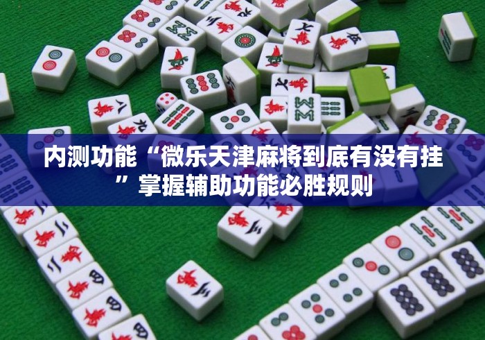 内测功能“微乐天津麻将到底有没有挂”掌握辅助功能必胜规则