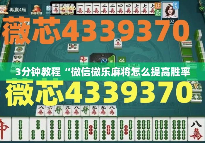 3分钟教程“微信微乐麻将怎么提高胜率 3分钟教程“微信微乐麻将怎么提高胜率