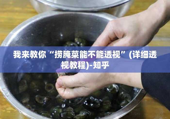 我来教你“捞腌菜能不能透视”(详细透视教程)-知乎